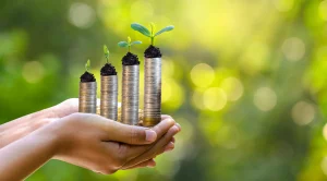 Wie erreichen Sie Ihre CSR-Ziele und optimieren Ihre Kosten dank Palettenteilern?
